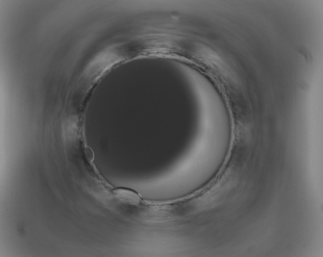 X0000113851353200910081637