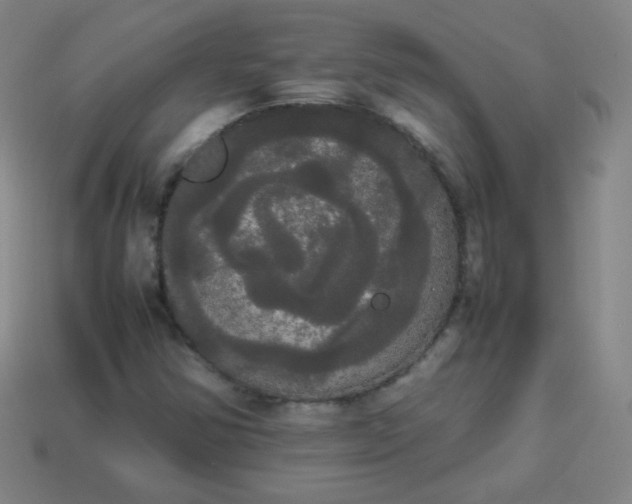 X0000113851354200910081637