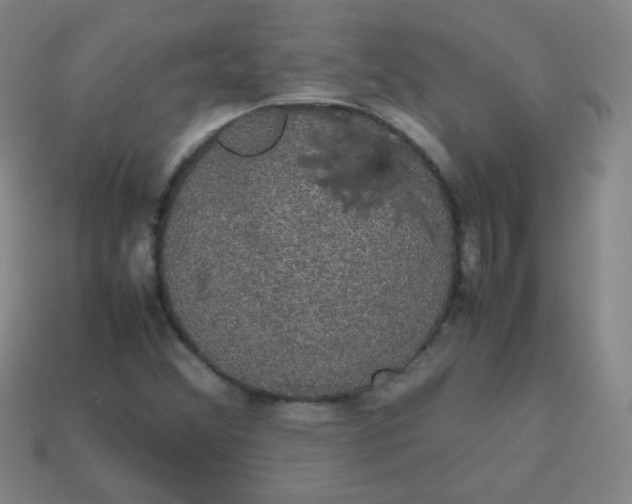 X0000113851356200910081637