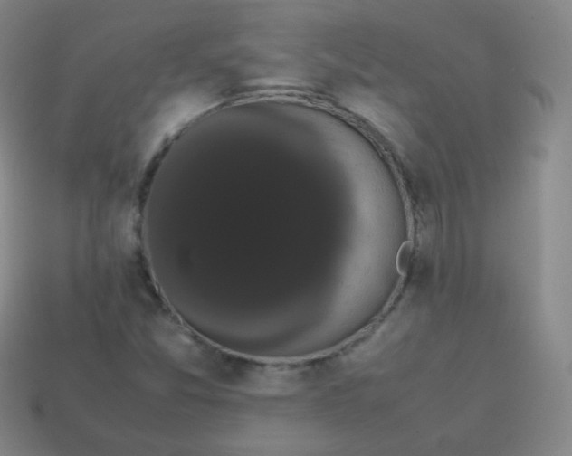 X0000113851357200910081637