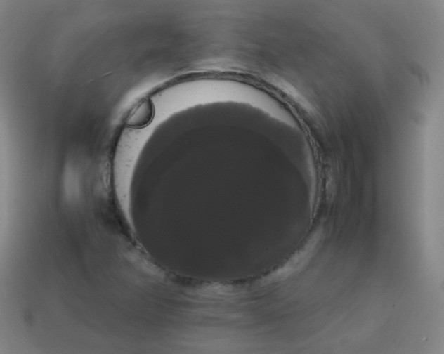 X0000113851358200910081637