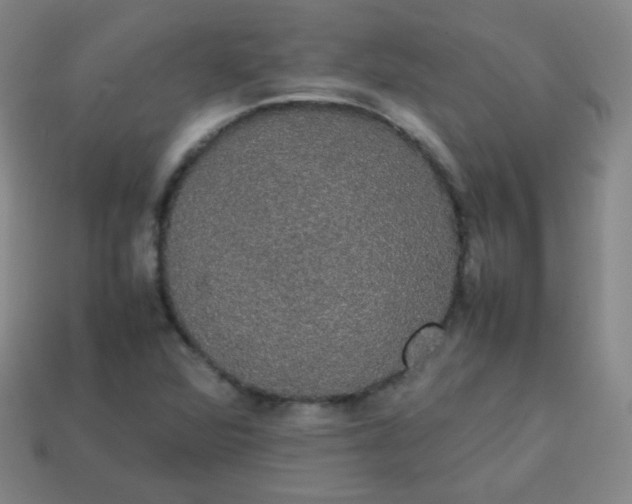 X0000113851360200910081637