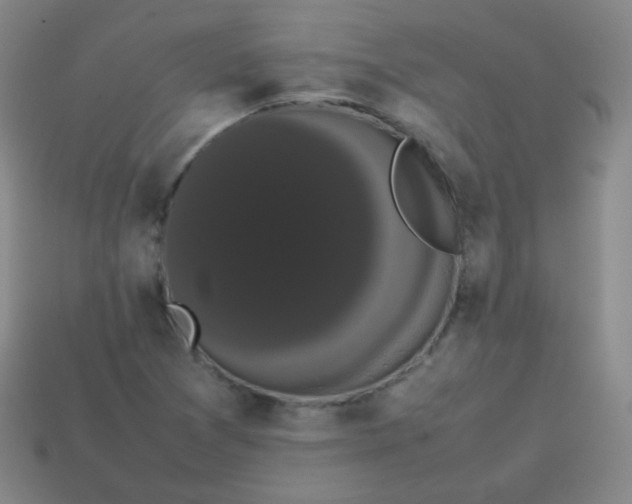 X0000113851361200910081637