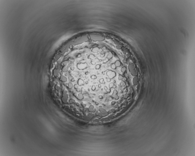 X0000113851363200910081637