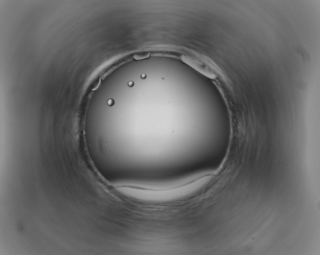 X0000113851364200910081637