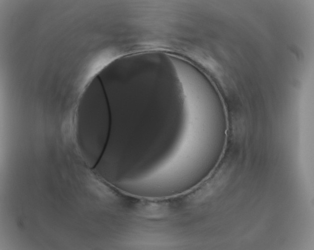 X0000113851365200910081637