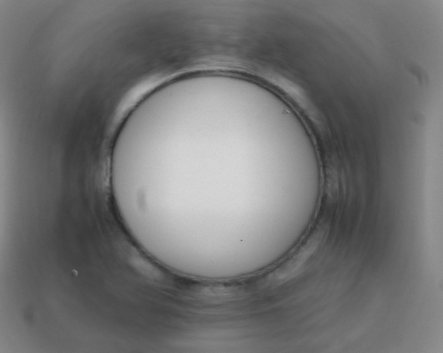 X0000113851366200910081637