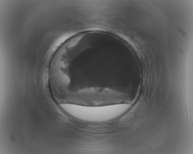 X0000113851367200910081637