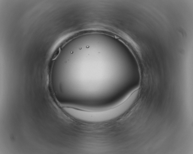 X0000113851368200910081637