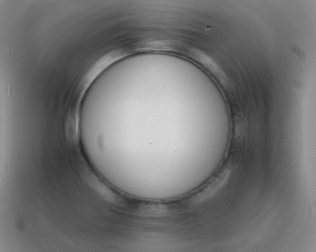 X0000113851370200910081637