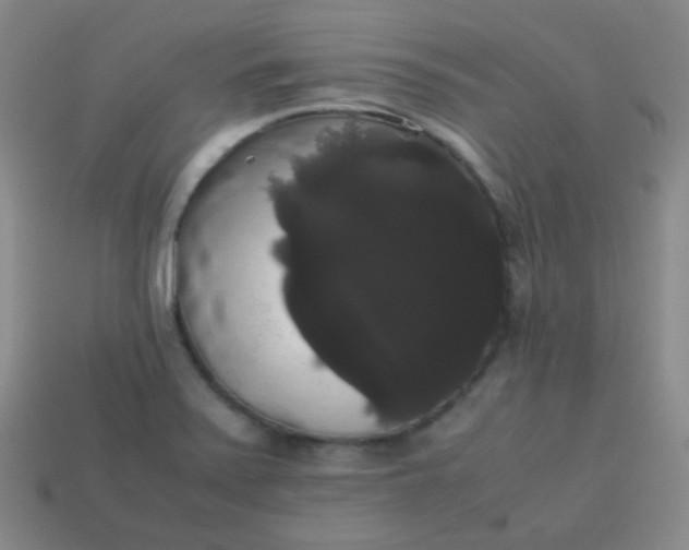 X0000113851371200910081637