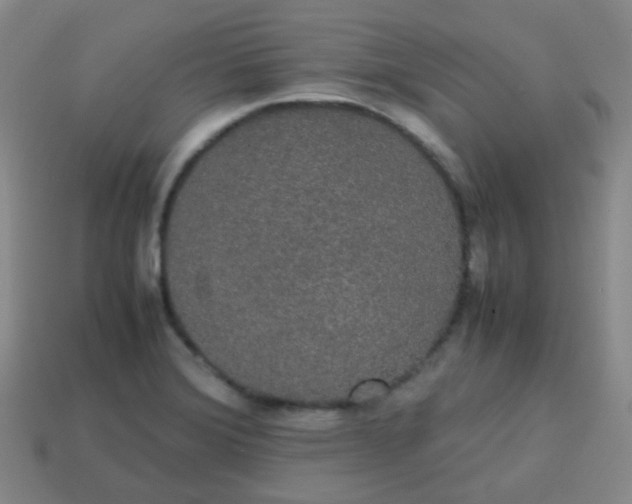 X0000113851372200910081637