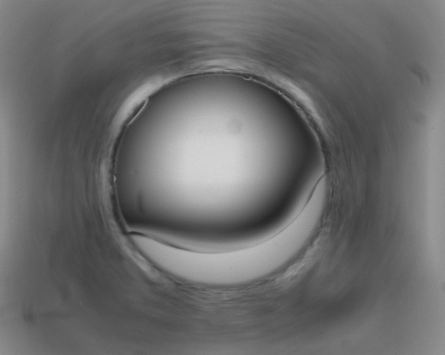 X0000113851373200910081637