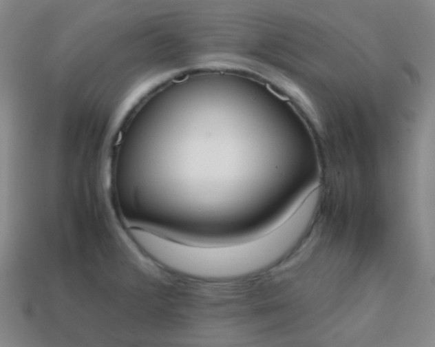 X0000113851376200910081637