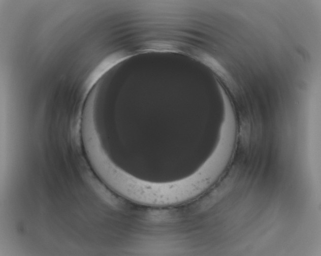 X0000113851378200910081637