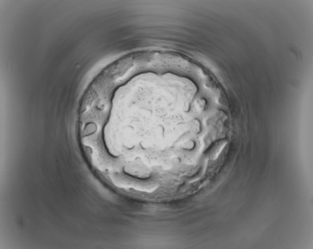 X0000113851379200910081637