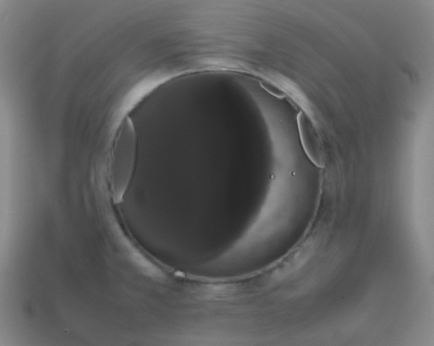 X0000113851381200910081637