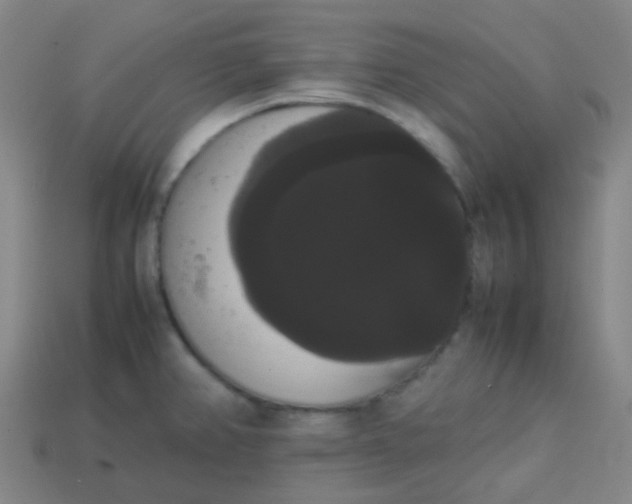 X0000113851382200910081637