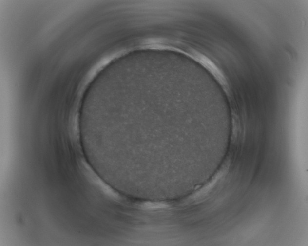 X0000113851384200910081637