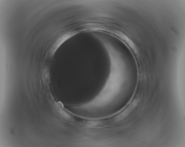 X0000113851385200910081637