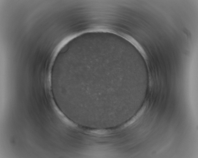 X0000113851388200910081637