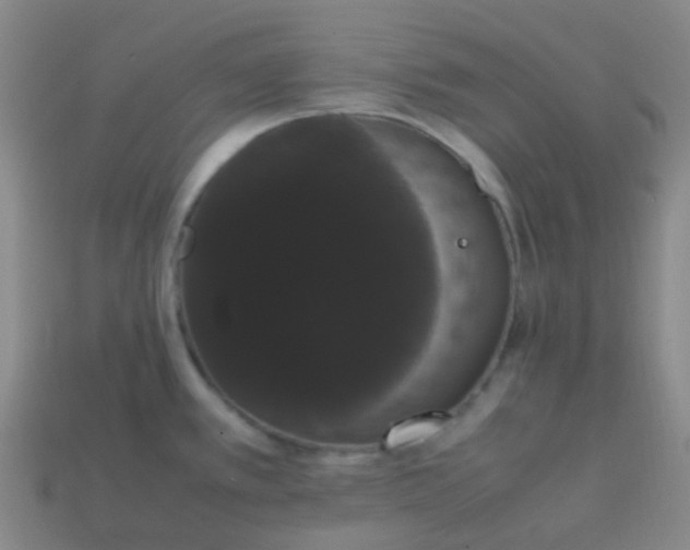 X0000113851389200910081637