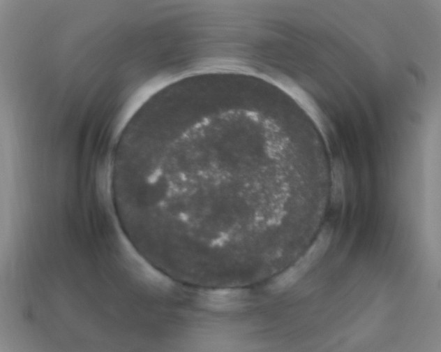 X0000113851390200910081637