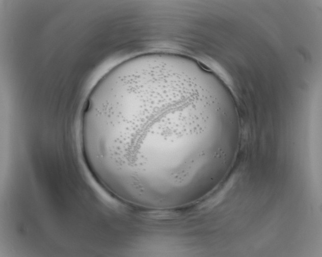 X0000113851391200910081637