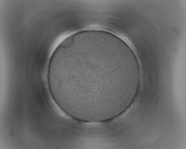 X0000113851392200910081637