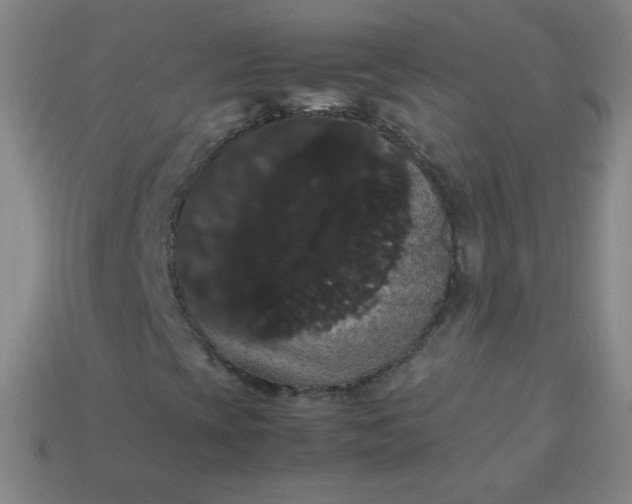 X0000113851393200910081636