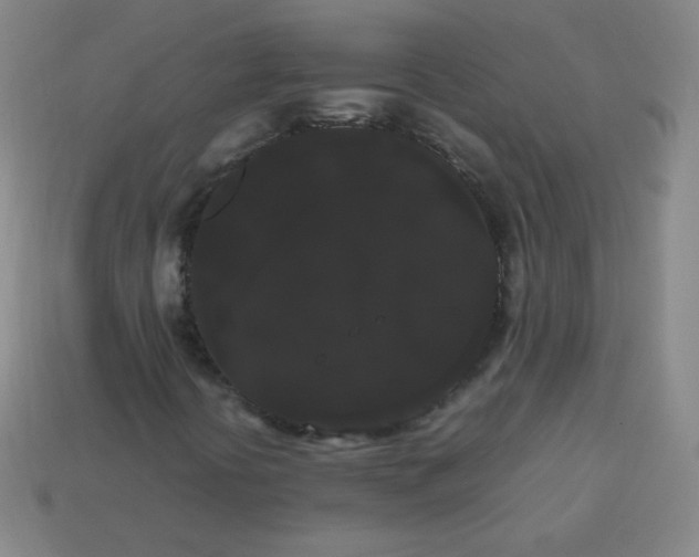 X0000113851394200910081636