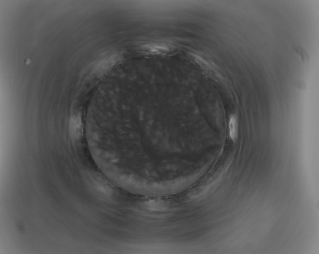 X0000113851395200910081636