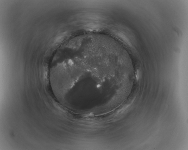 X0000113851396200910081636