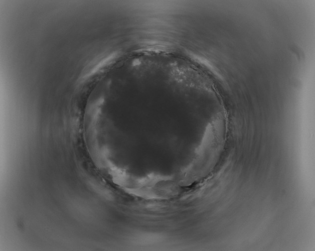 X0000113851399200910081636