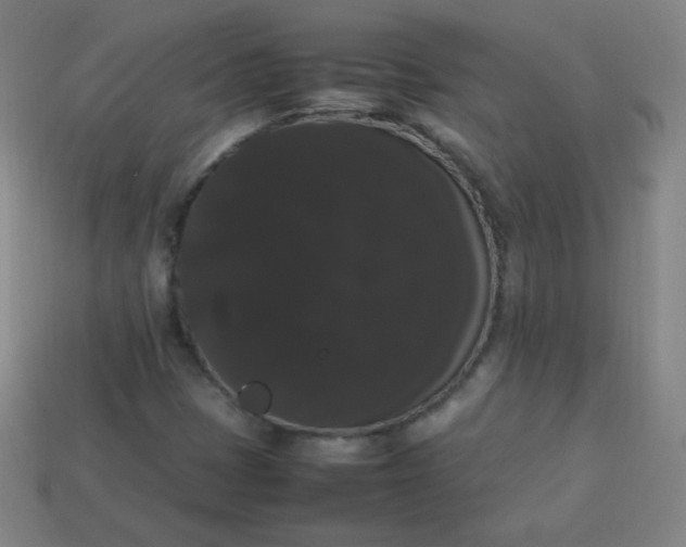 X0000113851401200910081636