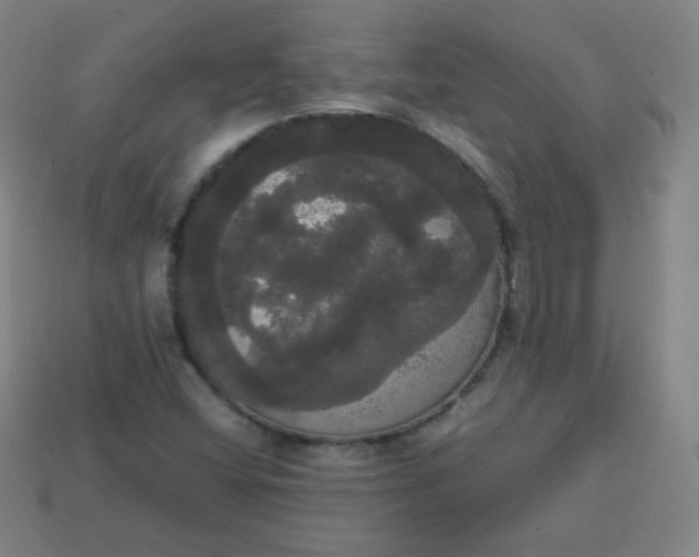 X0000113851404200910081636