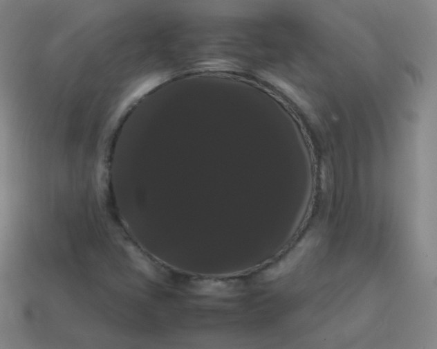 X0000113851405200910081636