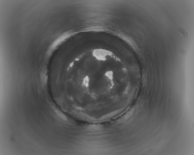 X0000113851406200910081636