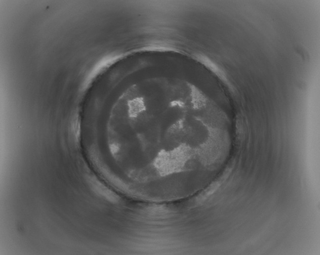 X0000113851408200910081636