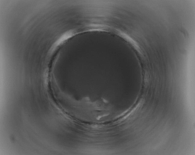 X0000113851411200910081636