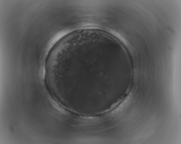 X0000113851413200910081636