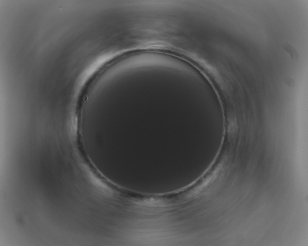 X0000113851414200910081636