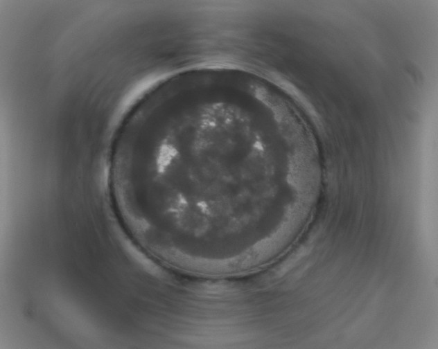 X0000113851416200910081636