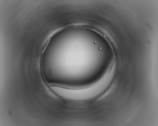 X0000113851417200910081636