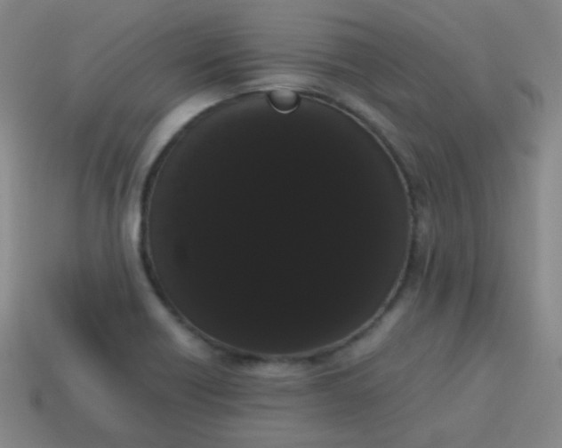 X0000113851418200910081636