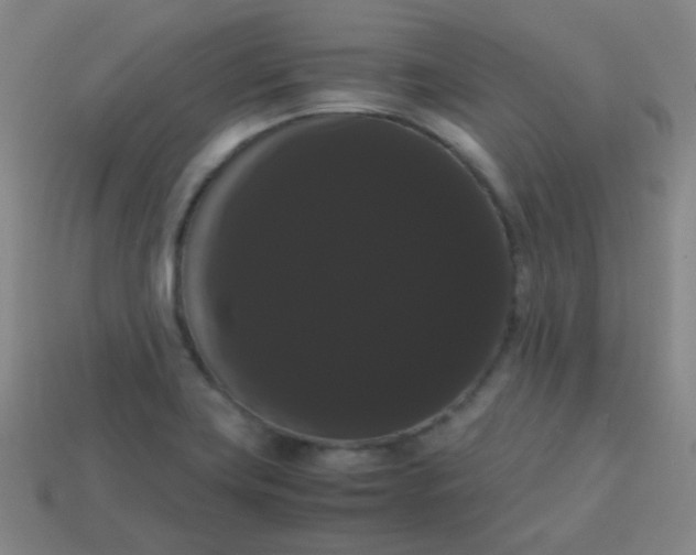 X0000113851419200910081636