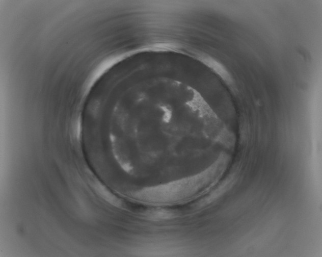 X0000113851420200910081636