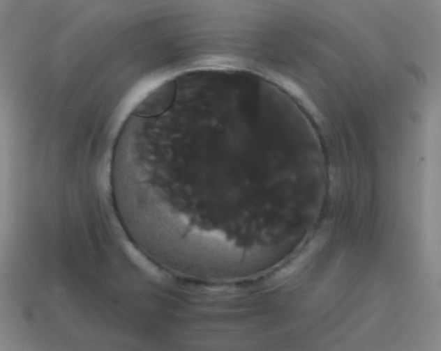 X0000113851421200910081636