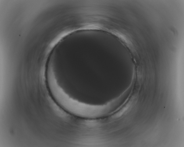 X0000113851422200910081636