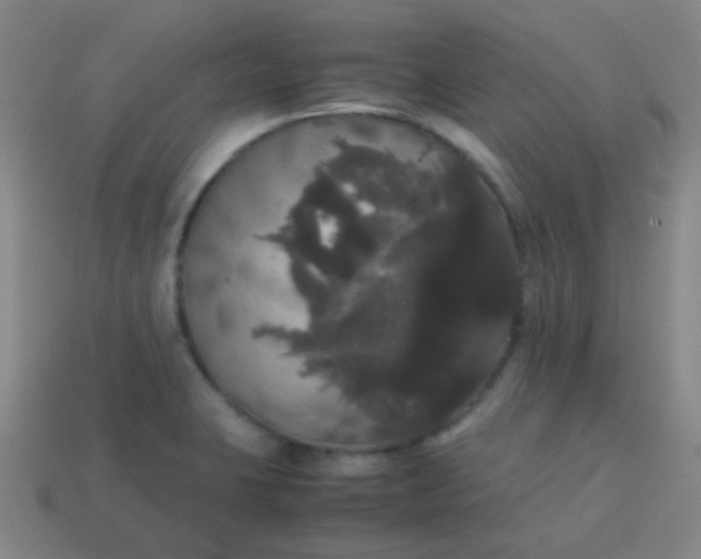 X0000113851423200910081636